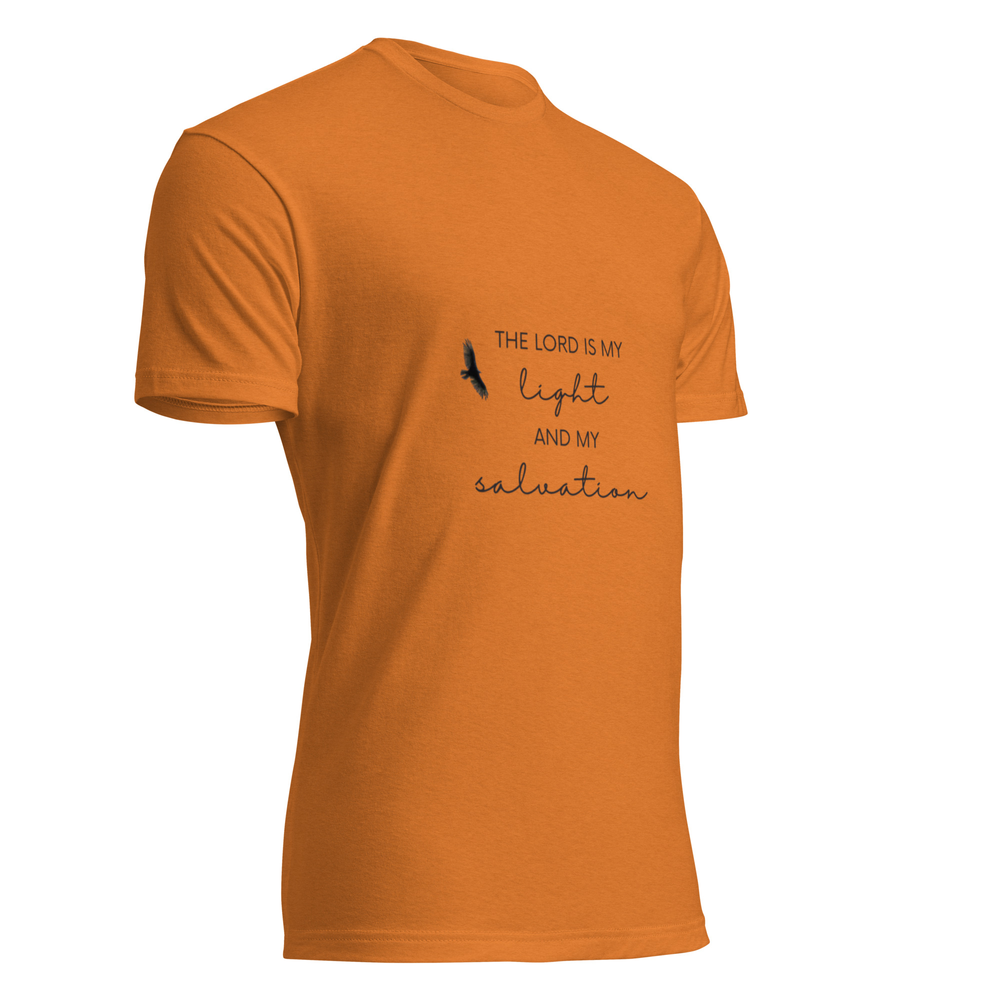 Unisex Fitted T-Shirt - Next Level 6210 - Image 32